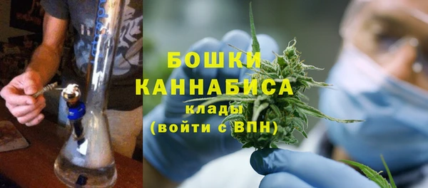 молекула духа Белоозёрский