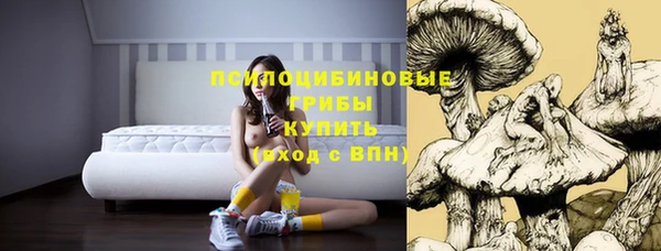 молекула духа Белоозёрский