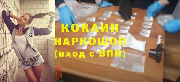индика Белокуриха