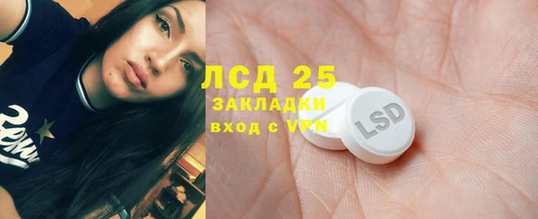 индика Белокуриха