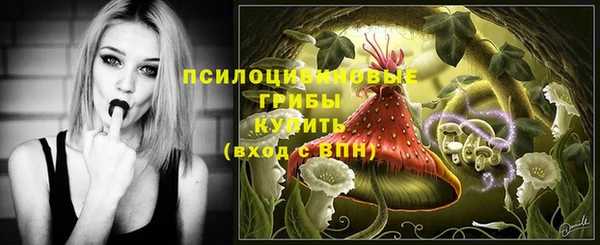 молекула духа Белоозёрский
