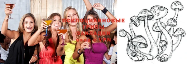 индика Белокуриха