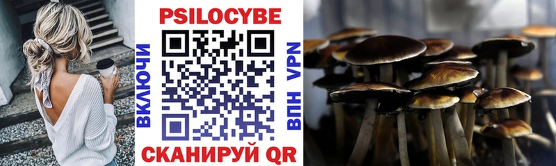 ОМГ ОМГ как зайти  Шагонар  Псилоцибиновые грибы прущие грибы 